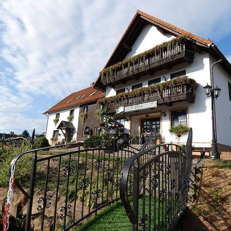 Hotel-Pension Flechsig Hartmannsdorf bei Kirchberg Dış mekan fotoğraf