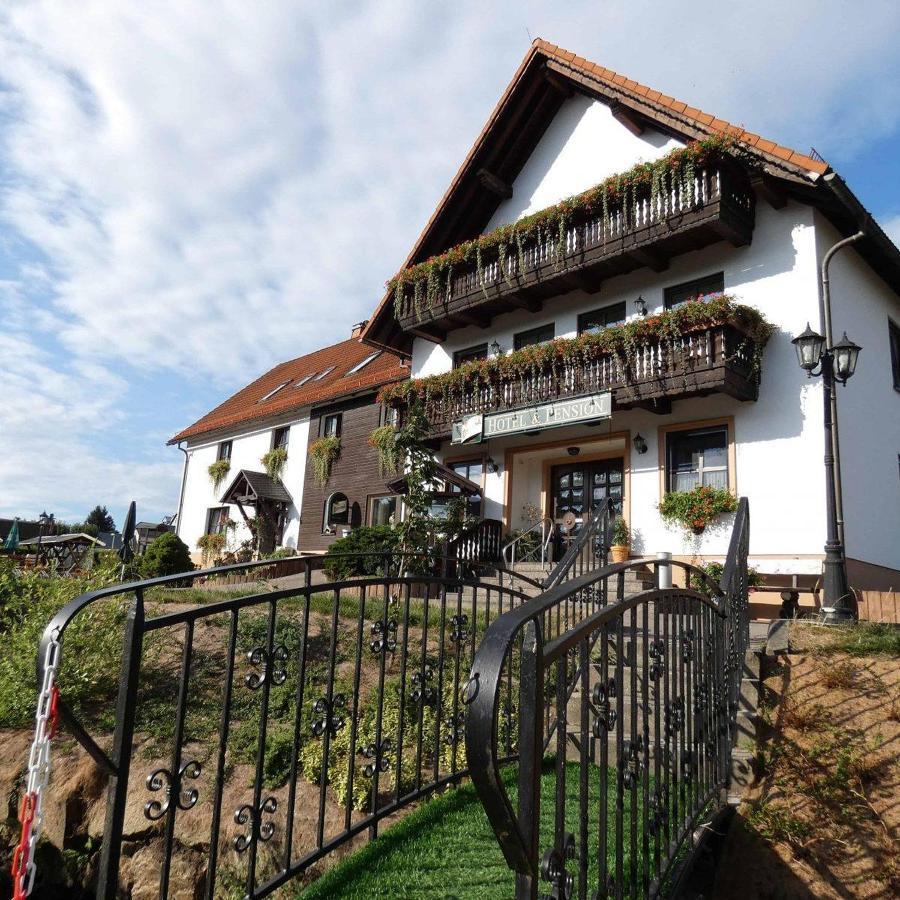 Hotel-Pension Flechsig Hartmannsdorf bei Kirchberg Dış mekan fotoğraf